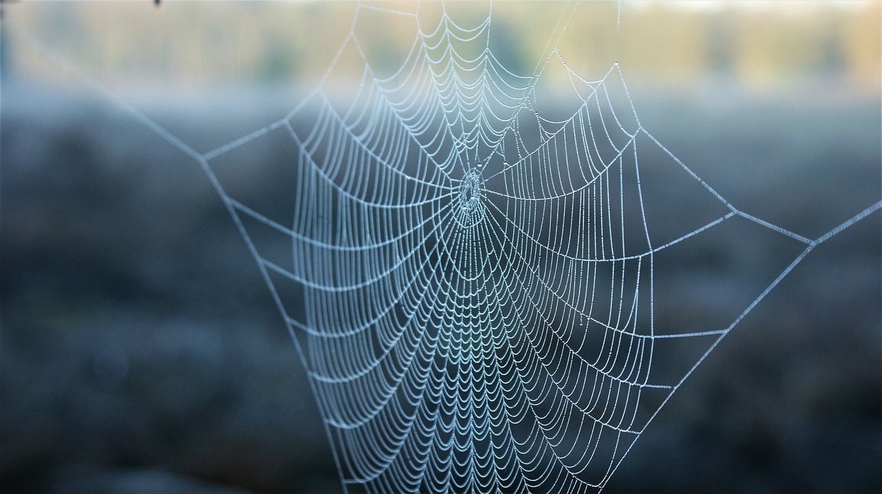 The Mystery of the Ancient Silk Weaving Techniques
